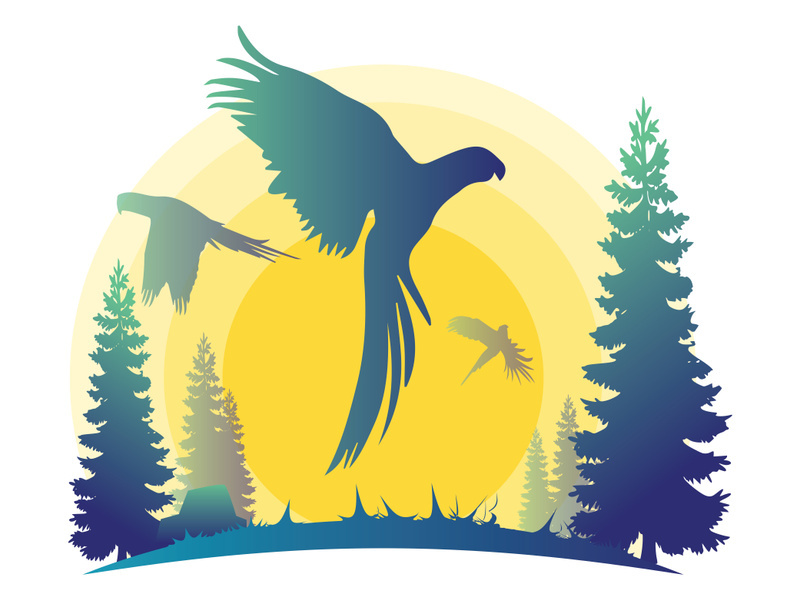 Birds : silhouette With Logo Gradient