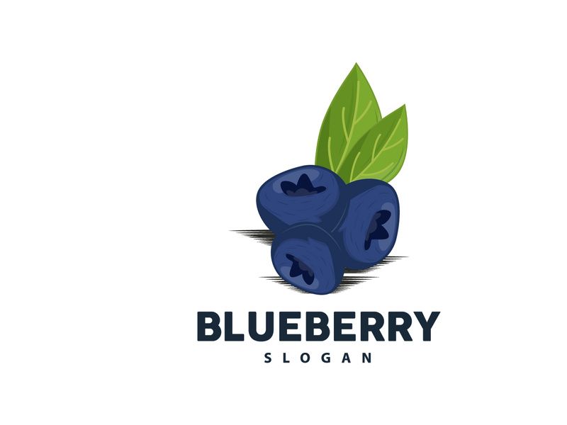 Blueberry Logo, Garden Farm Fresh Fruit Vector, Elegant Simple Design