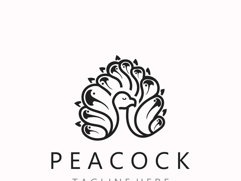 Peacock logo line art elegant concept icon design template flat vector illustration