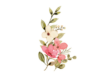 Vector Flower Watercolor Illustration preview picture