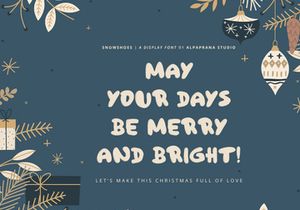 Snowshoes - Playful Display Font