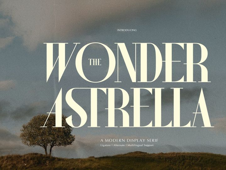 Wonder Astrella | Modern Display Serif