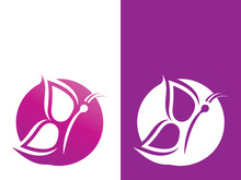 Butterfly logo icon vector design illustration