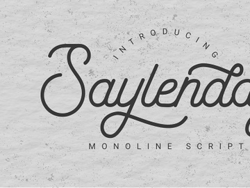 Saylenday Font preview picture