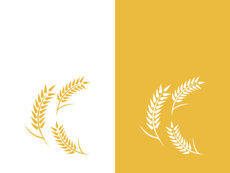 Wheat logo vector icon illustration design