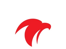 Eagle Logo Vector  Creative eagle icon Template illustration