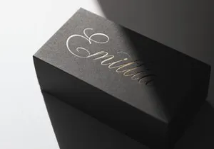 Wistallion | Classic Calligraphy
