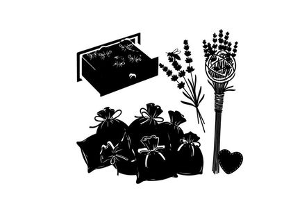 Silhouette of herbs and sachets in a box