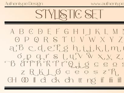 Roses Bolero Elegant Sans Serif