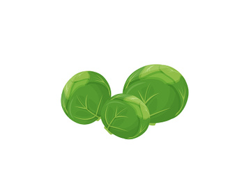 Brussels sprouts cartoon vector illustration preview picture