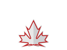Maple leaf vector illustration design template