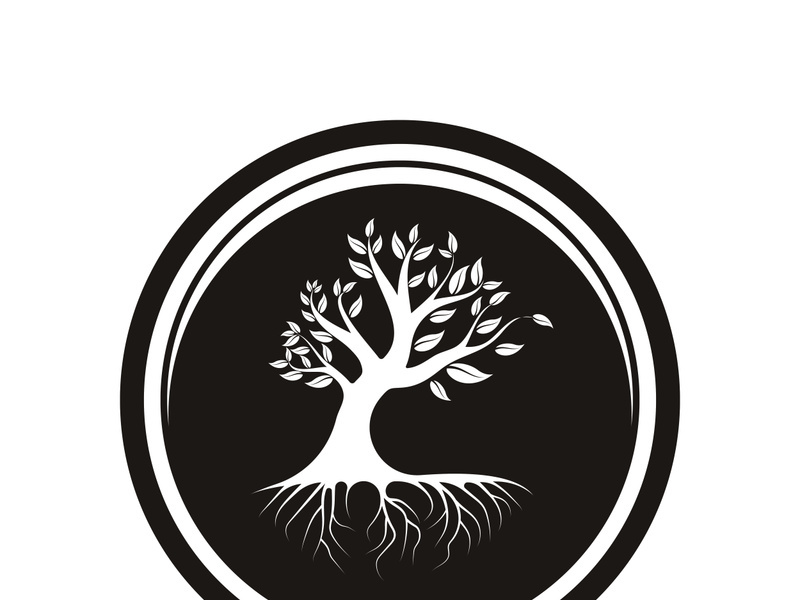 Root Leaf Family Tree of Life Oak Banyan Maple Stamp Seal Emblem Label logo design vector