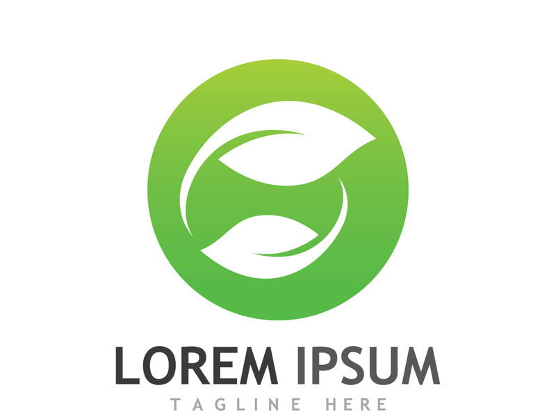 Natural green leaf logo design.