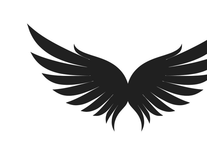 black bird wing logo vector