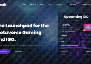 Gamili - Metaverse Gaming Launchpad Web 3.0
