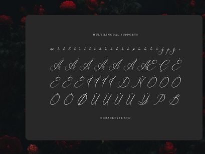 Avilantery | Elegant Calligraphy Script