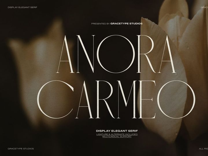 Anora Carmeo | Display Elegant Serif