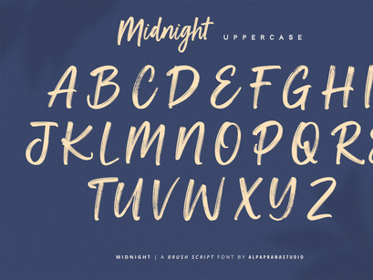 Midnight - Brush Script Font