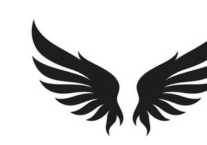 black bird wing logo vector