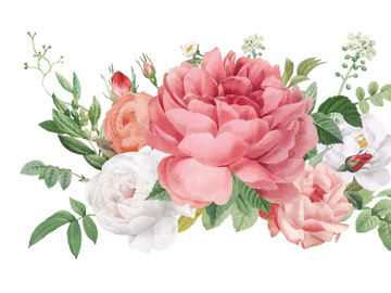 Vector Flower Watercolor Illustration preview picture