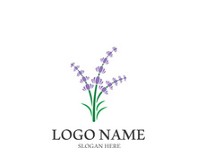 Lavender flower vector icon illustration design template