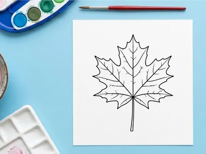 Detailed maple leaf illustration for nature and botanical projects. Artistic leaf drawing for design and educational use.