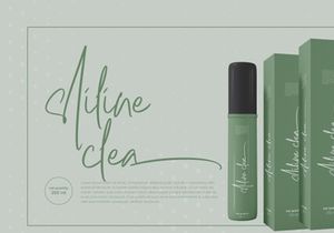 Hulya Script Handwritten Signature Font