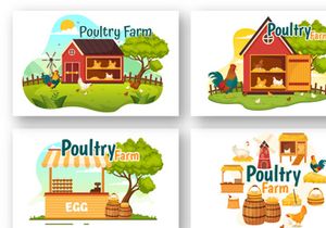 13 Poultry Farm Vector Illustration