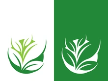 Green tree leaf nature logo images illustration design