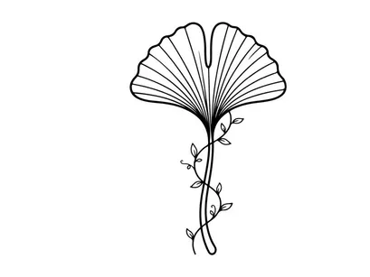 Ilustrasi Daun Ginkgo yang Elegan untuk Desain Alam dan Botani. Gambar botani artistik yang menampilkan daun ginkgo rinci dengan garis-garis halus.