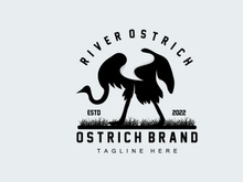 Ostrich Logo Design, Desert Animal Illustration, Living In The Forest, Vector Camel Brand Product