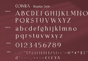Cowra - Display Serif Font