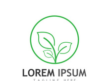 Natural green leaf logo design.