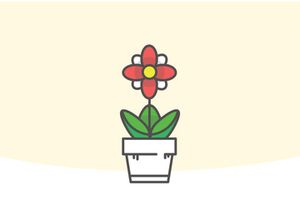 Indor Flower Vector Illustration