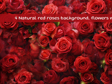 Natural red roses background, flowers wall preview picture