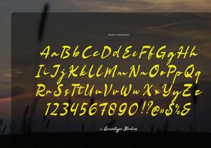 Bellford Dusktime | Retro Script