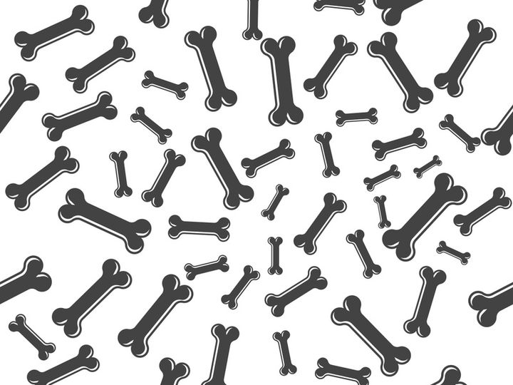 Bone icon design illustration