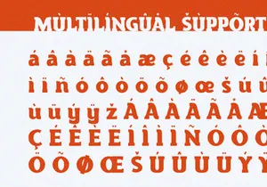 Torque - Serif Font