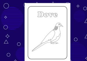10 Pages Bird coloring page or books for kids. Vector illustration