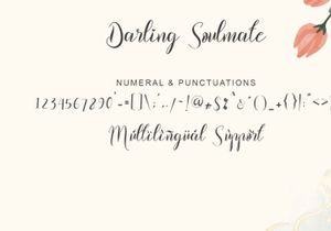 Darling Soulmate