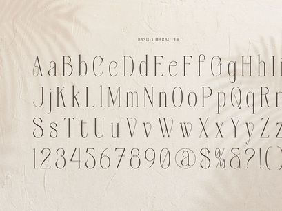 Orlevin | New Modern Serif