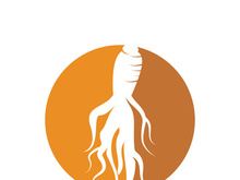 Ginseng logo design template and symbol icon vector illustration