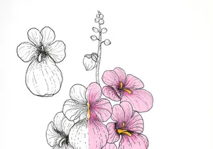 Florals | Free Hand Drawings