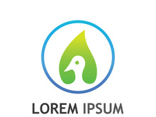 Natural green leaf logo design.