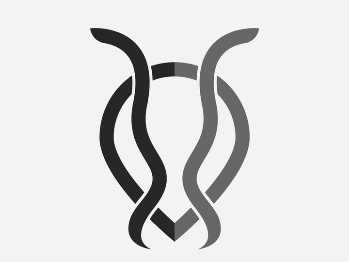 Ant logo