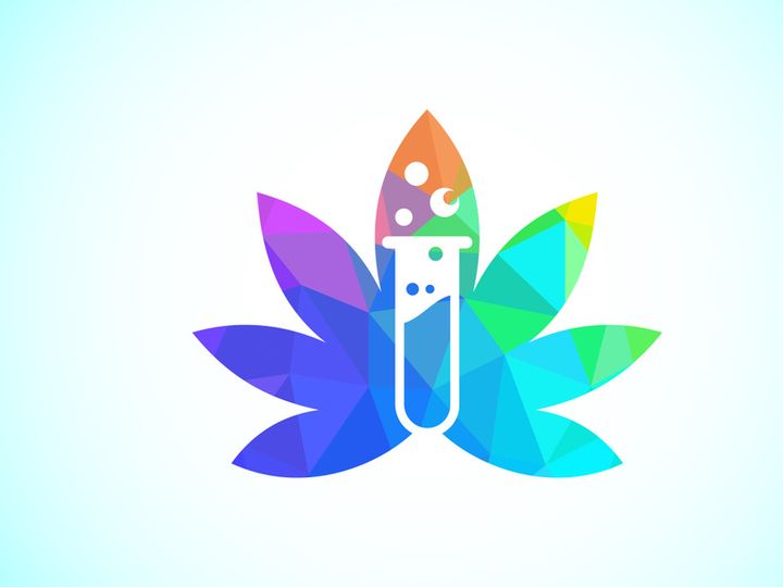 Marijuana leaf. Medical cannabis. Hemp oil. cannabis or marijuana leaf logo