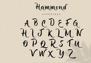 Hammond - Elegant Display Font