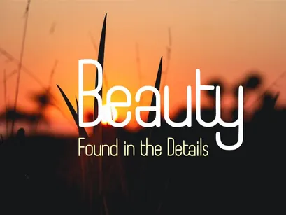 Boyanda - Modern Organic Display Font