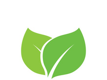 leaf logo green ecology nature element vector image