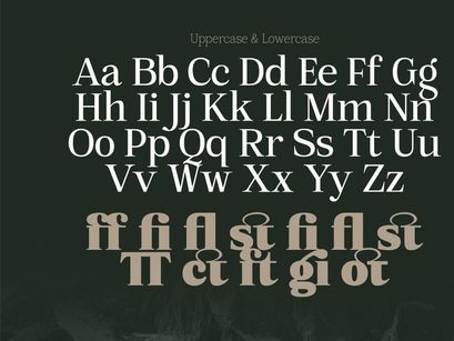 Mount Sagilite – Modern Serif Family Typeface with Variable Font